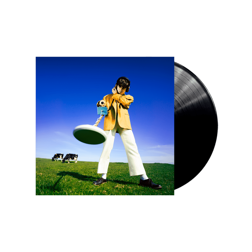 Declan McKenna Vinyl - What Happened to the Beach Vinyl