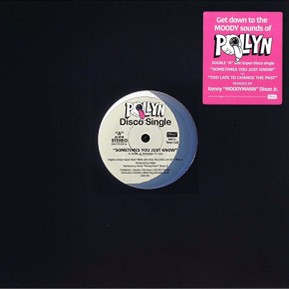 Pollyn - The Moodymann Remixes Pink 12-Inch