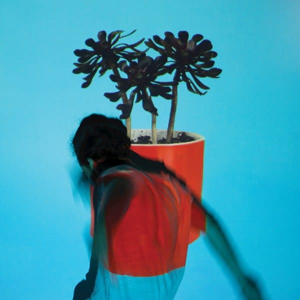 Local Natives - Sunlight Youth 12-Inch