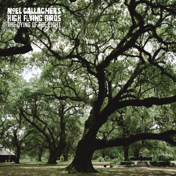 Noel Gallagher's High Flying Birds - The Dying Of The Light Green 7-Inch