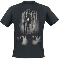 A Perfect Circle T-Shirt Disillusioned S to 4XL for Men black - Image 1