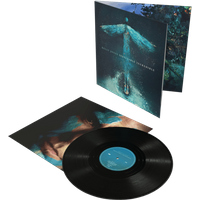 Kelly Jones - Inevitable Incredible Vinyl - Image 1