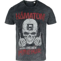 Hämatom T-Shirt Erzähl S to 4XL for Men grey