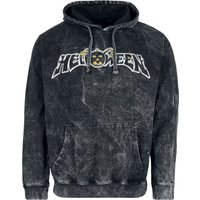 Helloween Hooded sweater Dr. Stein S to XXL for Men anthracite - Image 1