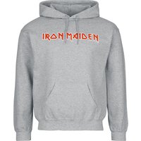 Iron Maiden Hooded sweater Logo S to XXL for Men grey - Image 1