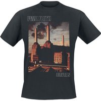 Pink Floyd T-Shirt Animals S to 5XL for Men black - Image 1