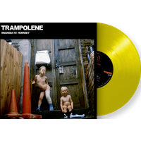 Trampolene - Swansea To Hornsey Daffodil Yellow in Original Signed Sleeve Vinyl - Image 1