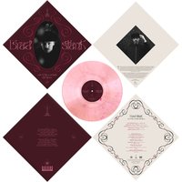 Brad Stank - In The Midst Of You Signed Vinyl - Image 1