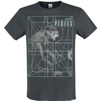 Pixies T-Shirt Amplified Collection Dolittle S to XXL for Men charcoal - Image 1