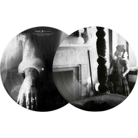 Opeth – Damnation 20th Anniversary Edition Picture Disc Vinyl