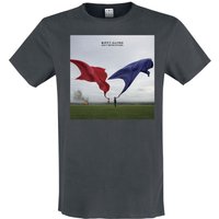 Biffy Clyro T-Shirt Amplified Collection Only Revolutions S to 3XL for Men charcoal - Image 1