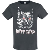 Biffy Clyro T-Shirt Amplified Collection Black Cat S to XXL for Men charcoal - Image 1