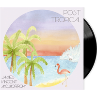 James Vincent McMorrow - Post Tropical LP Vinyl - Image 1