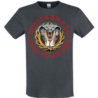 Whitesnake T-Shirt Amplified Collection Donnington Snake S to XXL for Men charcoal - Image 1