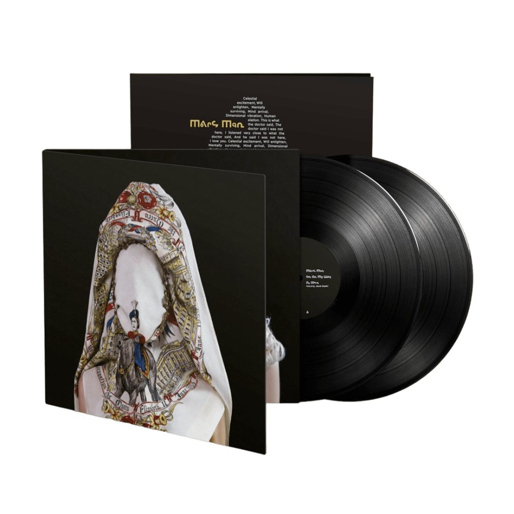 Brothers & Sisters Double Vinyl by Steve Mason