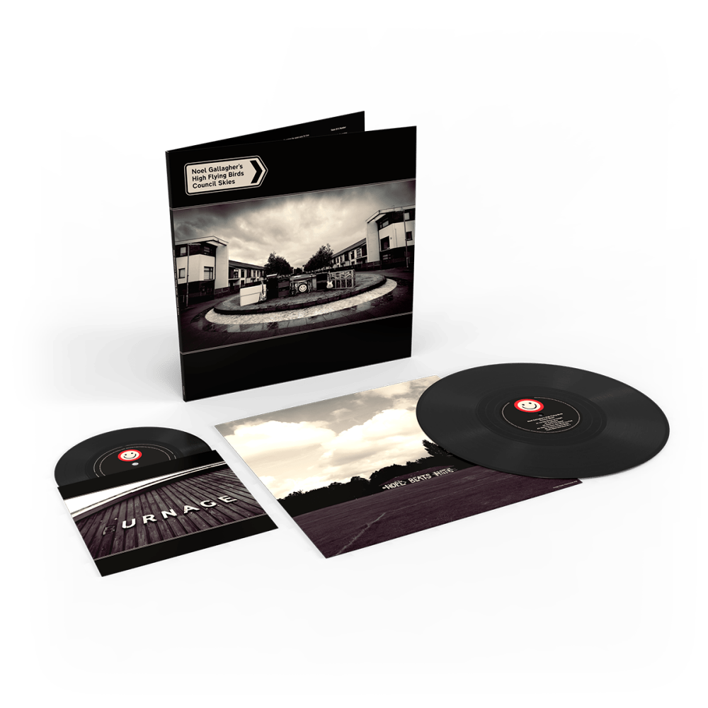 Council Skies Black Vinyl by Noel Gallagher's High Flying Birds