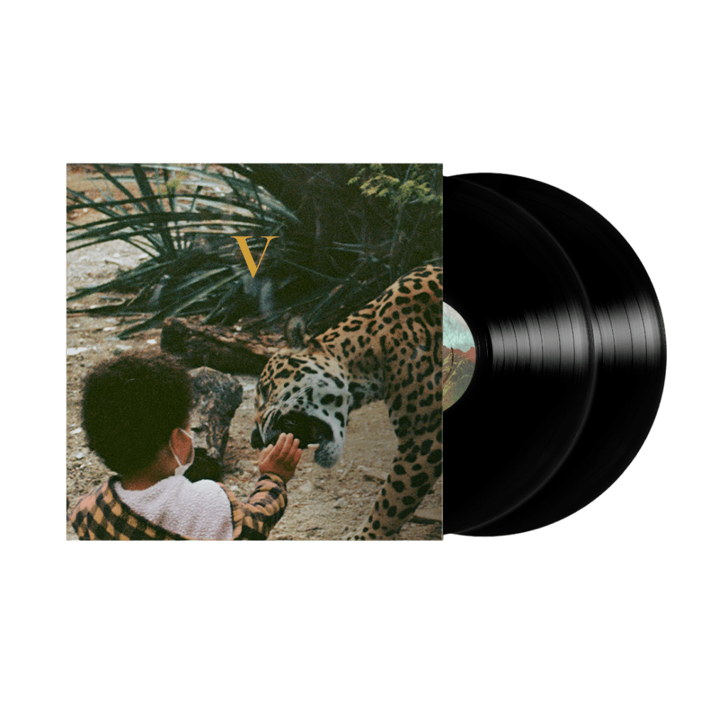 V Double Vinyl by Unknown Mortal Orchestra