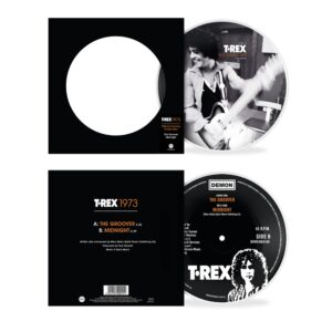 The Groover (50th Anniversary) 7" Picture Disc 7 Inch" by T. Rex