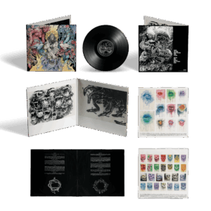 STONE Black Vinyl LP by Baroness