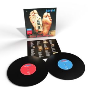 Ugly Beautiful NAD 2023 Double Vinyl by Babybird