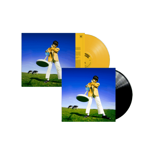 What Happened to the Beach? Sun Yellow Coloured + Black Vinyl - Declan McKenna
