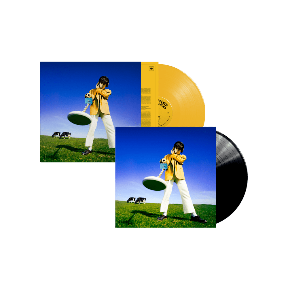 What Happened to the Beach? Sun Yellow Coloured + Black Vinyl by Declan McKenna