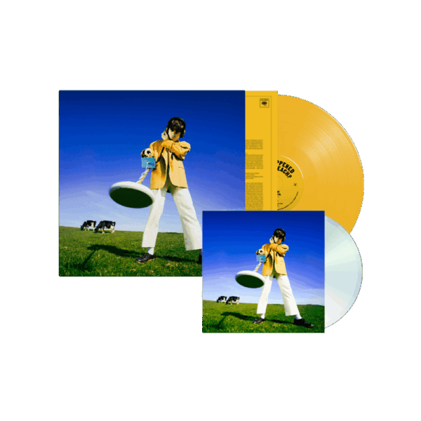 What Happened to the Beach? Sun Yellow Coloured Vinyl + CD - Declan McKenna