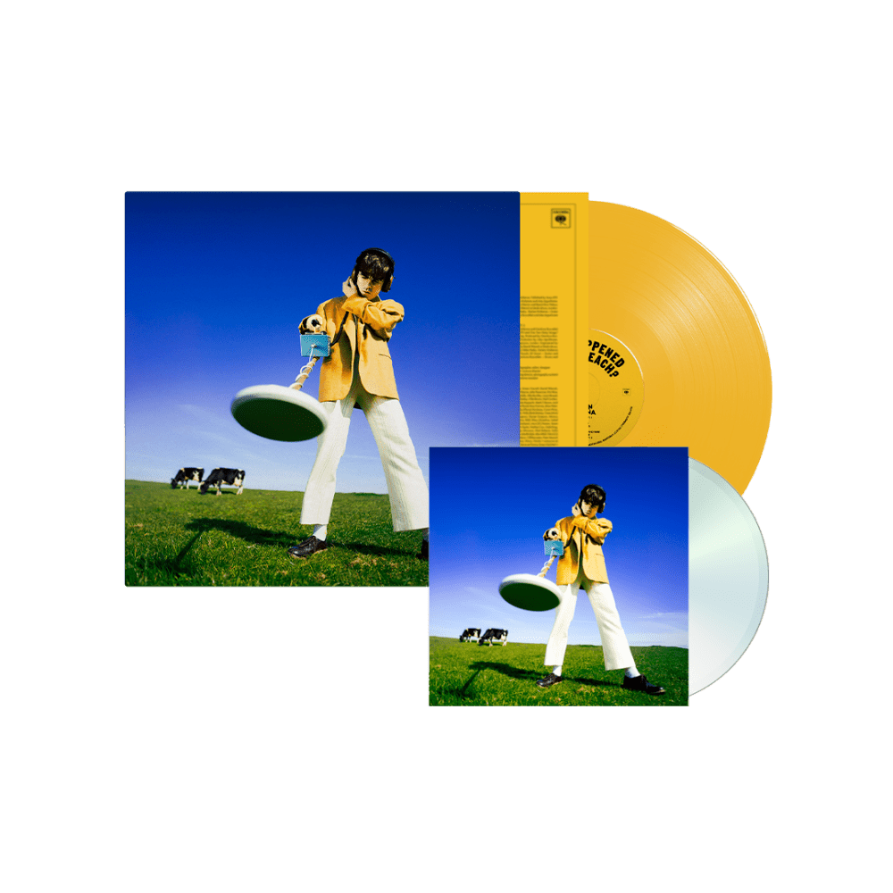 What Happened to the Beach? Sun Yellow Coloured Vinyl + CD by Declan McKenna