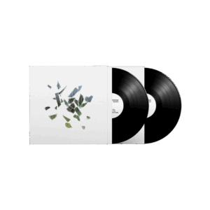 Field Of Reeds 10th Anniversary Edition With Etching Double Vinyl - These New Puritans