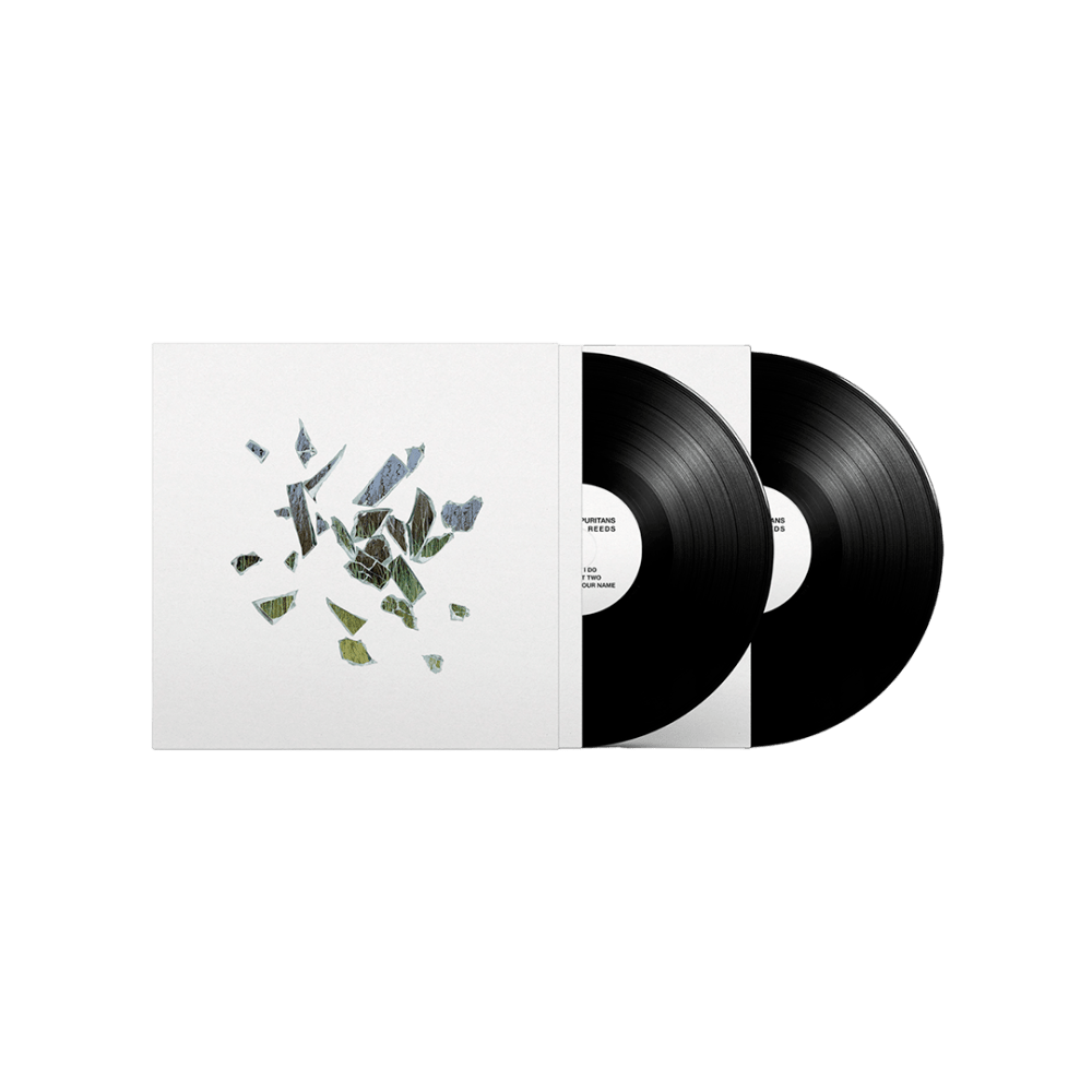 Field Of Reeds 10th Anniversary Edition With Etching Double Vinyl by These New Puritans