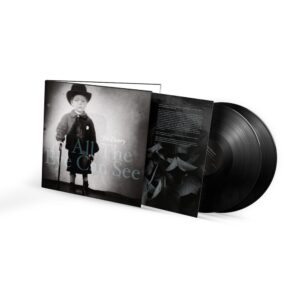 All The Eye Can See Double Vinyl by Joe Henry