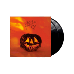 Walls Have Ears Double Vinyl by Sonic Youth