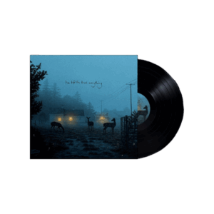 I've told the trees everything 12 Inch Vinyl by Dermot Kennedy