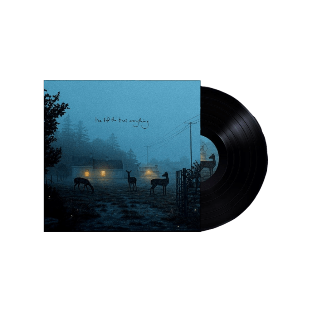 I've told the trees everything 12 Inch Vinyl by Dermot Kennedy