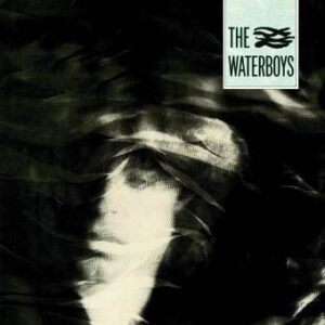The Waterboys Heavyweight LP by The Waterboys