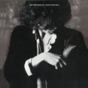 This Is The Sea Heavyweight Vinyl LP Heavyweight LP by The Waterboys