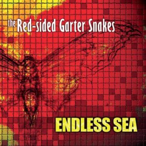 Endless Sea LP - The Red Sided Garter Snakes