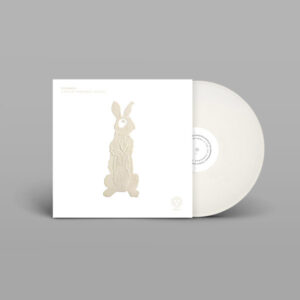 A Pot Of Powdered Nettles White LP LP by Laniakea