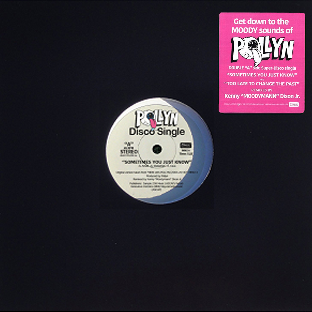 The Moodymann Remixes Pink 12 Inch by Pollyn
