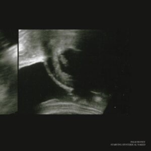 Starving Hysterical Naked  7 Inch by Palm Honey