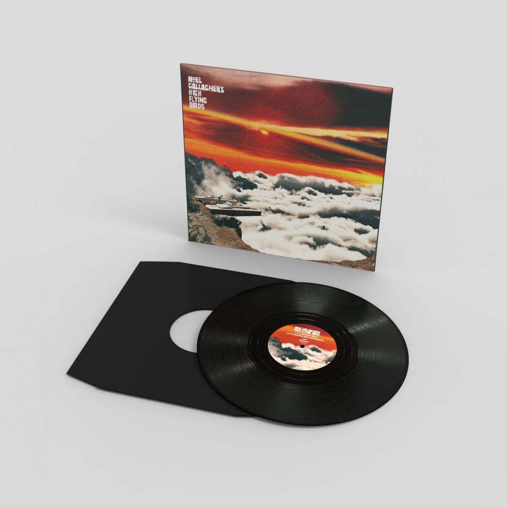 It's A Beautiful World 12-Inch Vinyl 12 Inch by Noel Gallagher's High Flying Birds