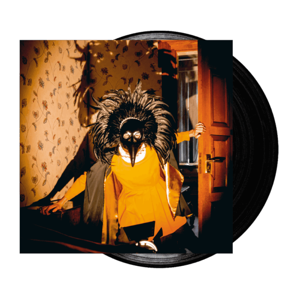 Strange Creatures LP by Drenge