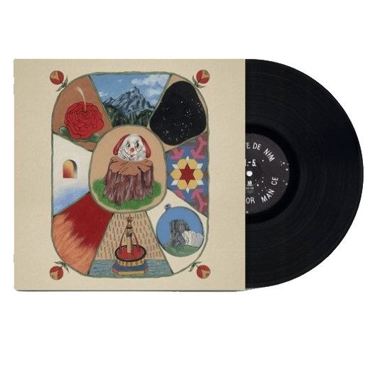 Performance LP by White Denim