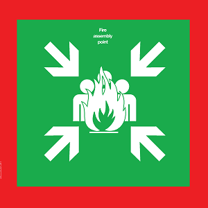 AA Sessions Volume 1 Red Heavyweight LP by Blood Red Shoes