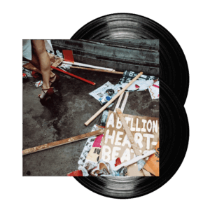 A Billion Heartbeats Double LP by Mystery Jets