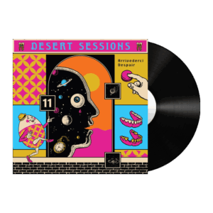 Volume 11 & 12 12 Inch by Desert Sessions