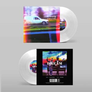 Everytime / Dream Clear 7-Inch Vinyl 7 Inch by The Twang