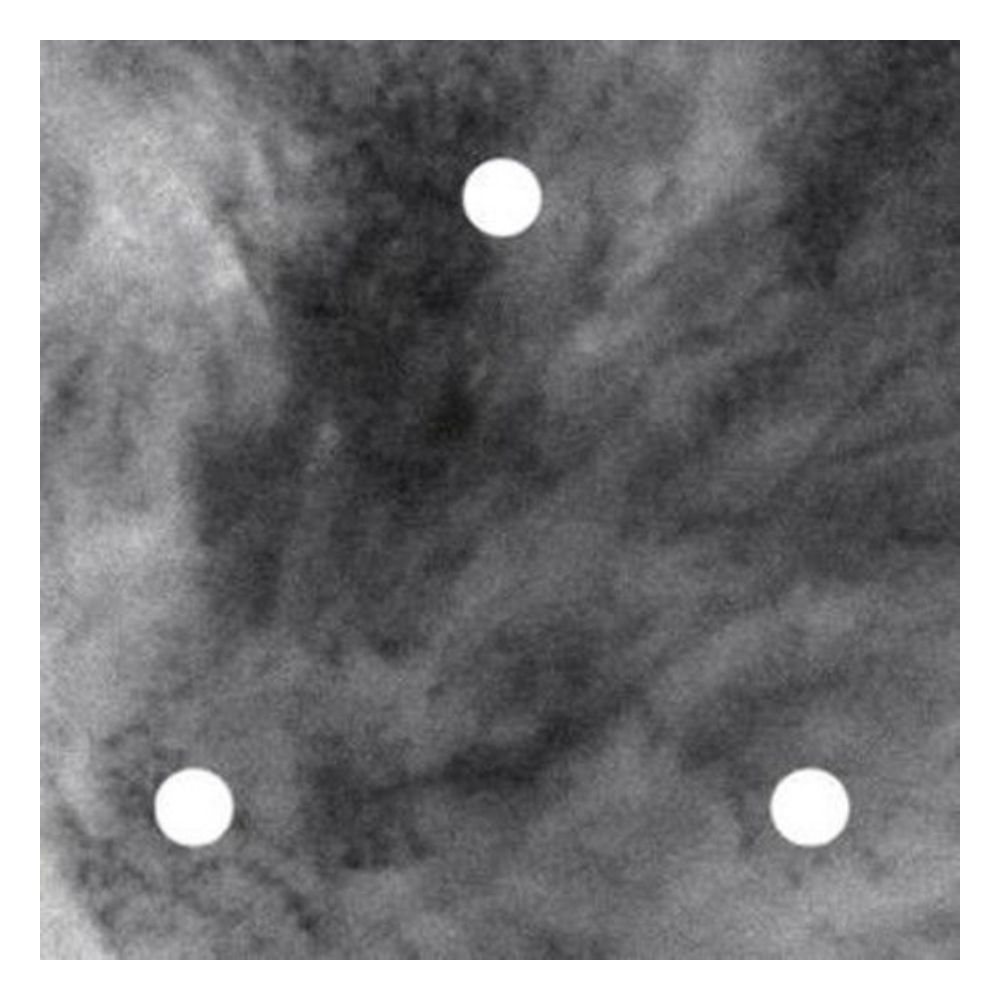 The Acid EP White Label  12 Inch by The Acid