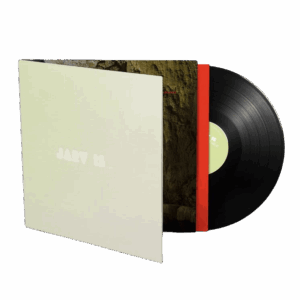 Beyond The Pale LP by JARV IS