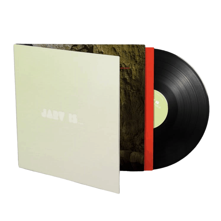Beyond The Pale LP by JARV IS